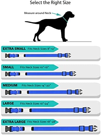 צווארון כלבים בהתאמה אישית - תגי מזהה חרוטים בהתאמה אישית עם חומר רפלקטיבי - גודל בינוני או גדול עם צלחת שם